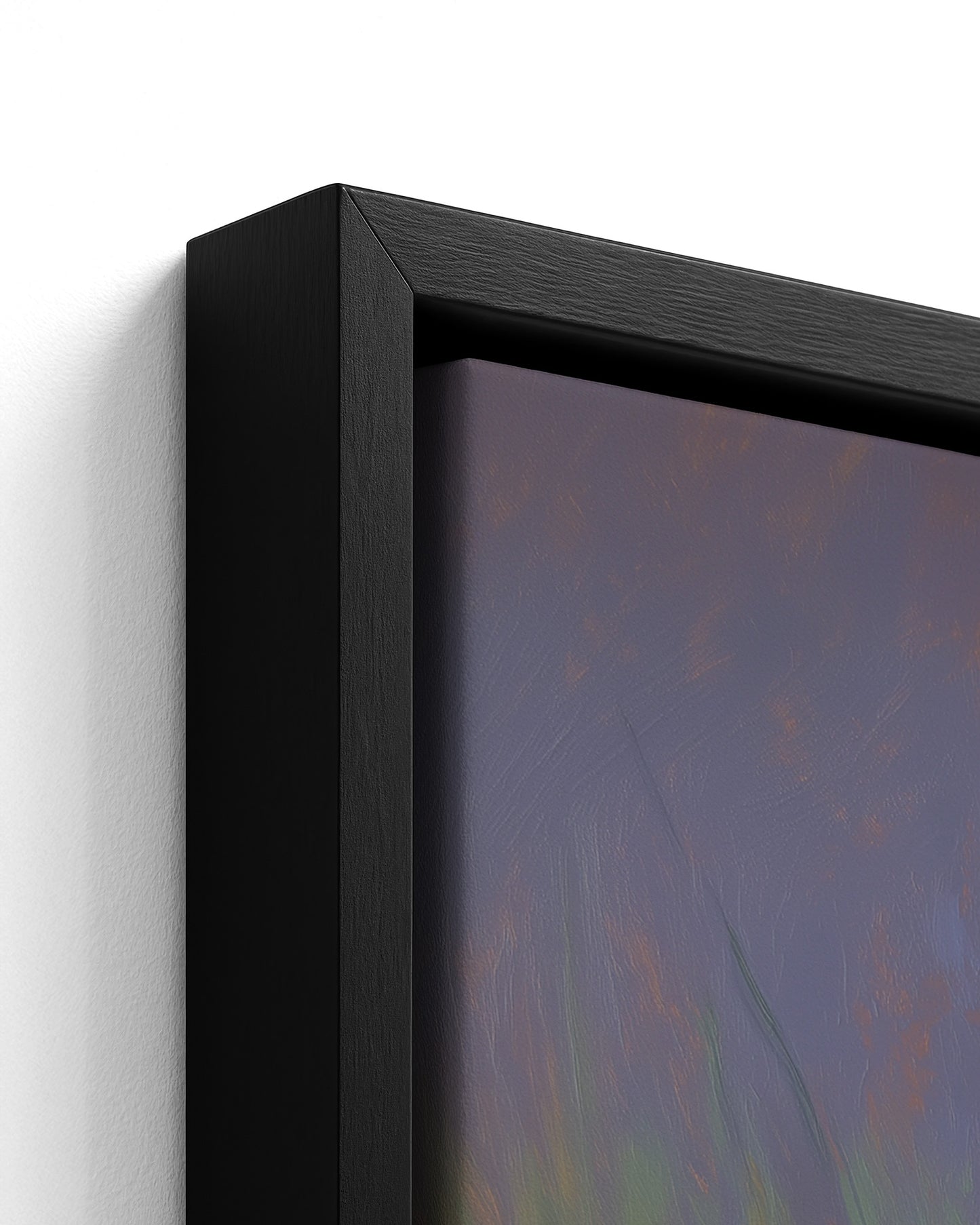 The Likouala Wetlands