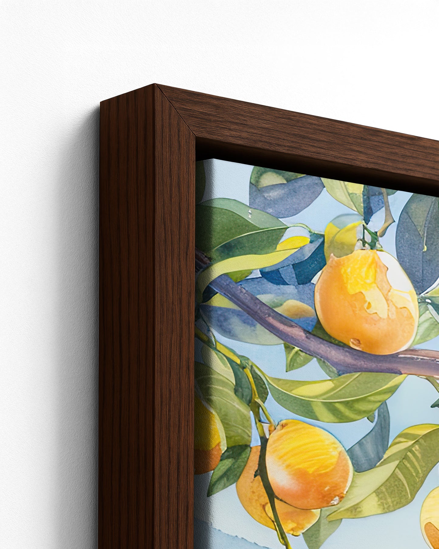 Lemon Grove Overlook