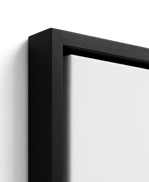 Framed Canvas