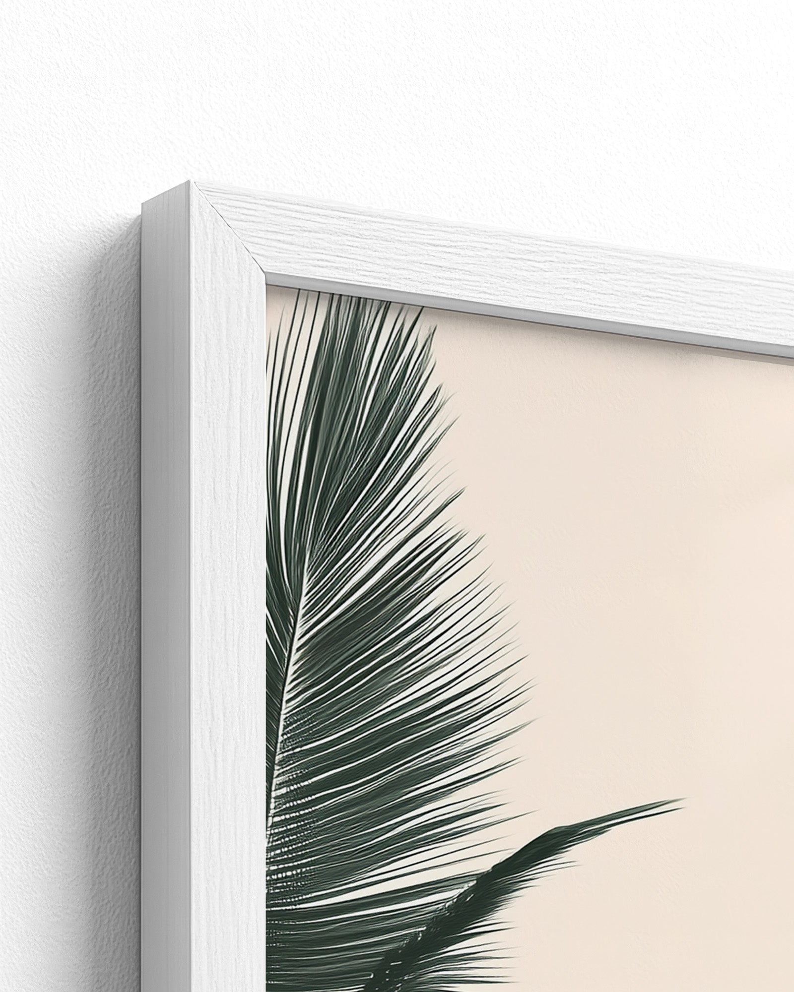 white frame