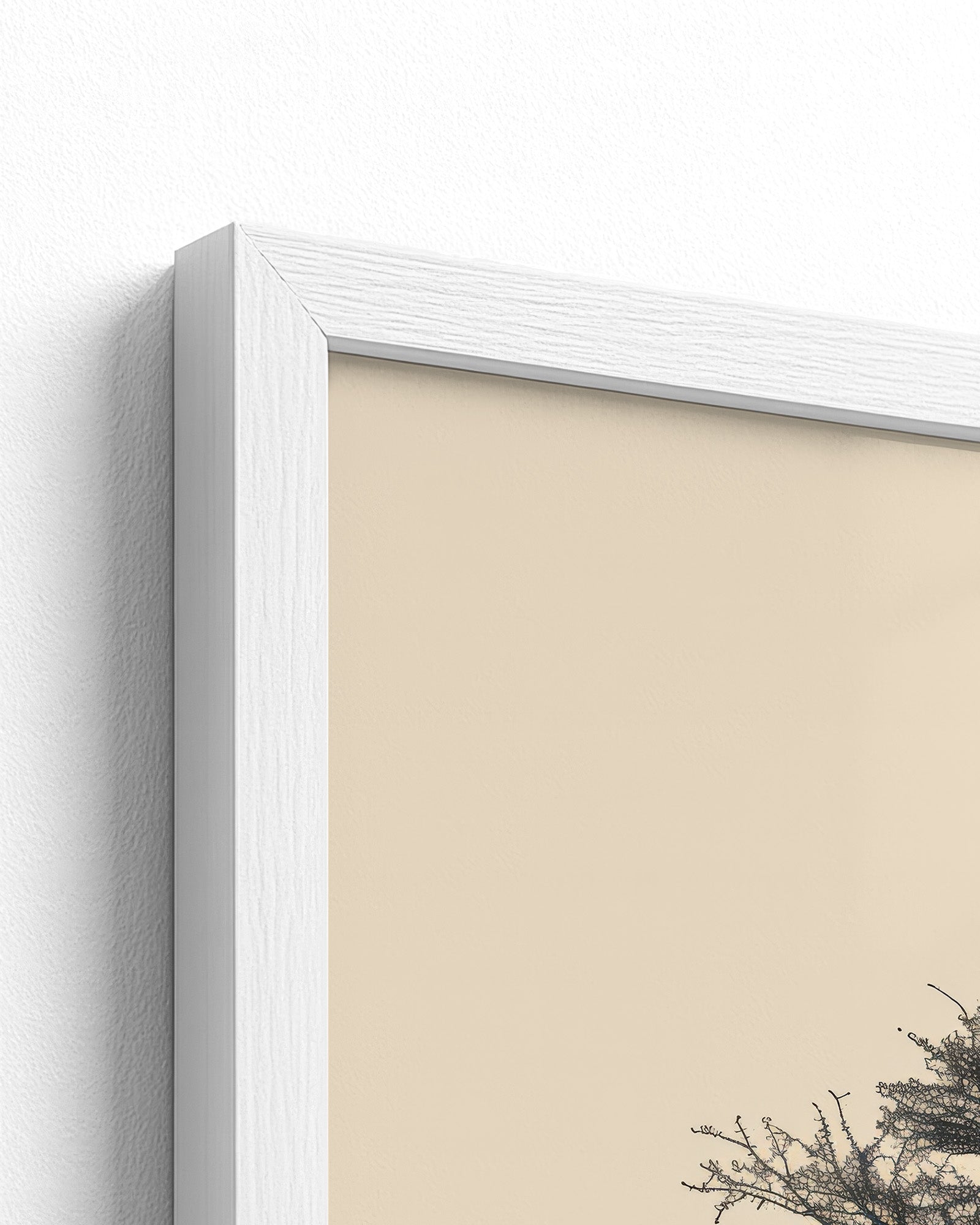 white frame