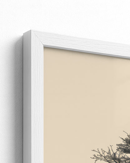 white frame