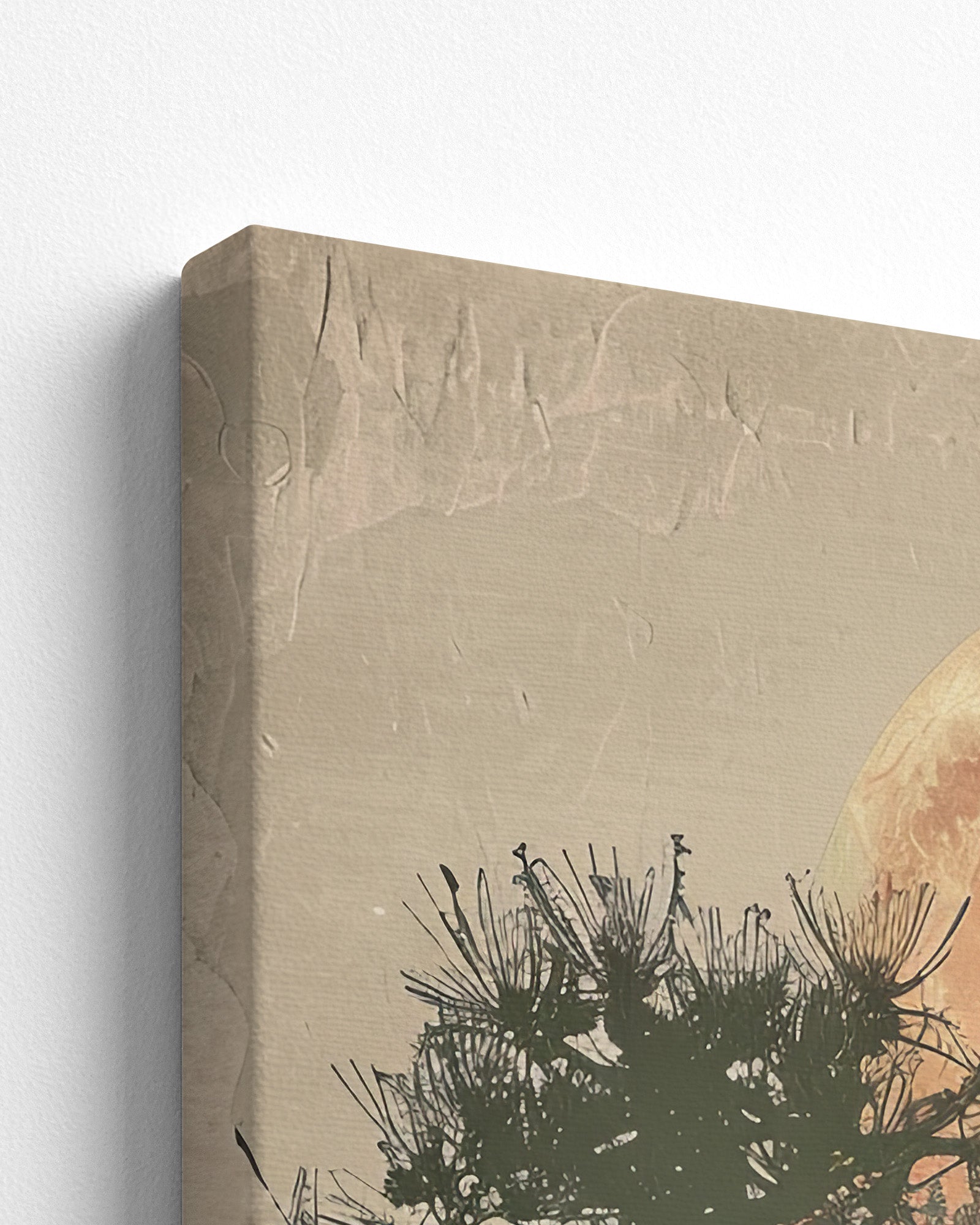 canvas