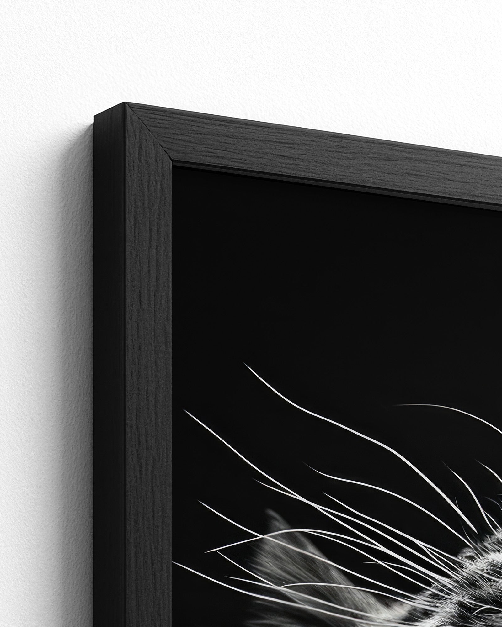 black frame