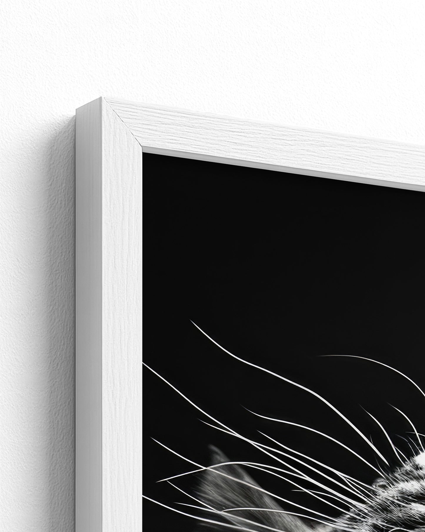 white frame