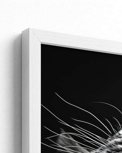 white frame