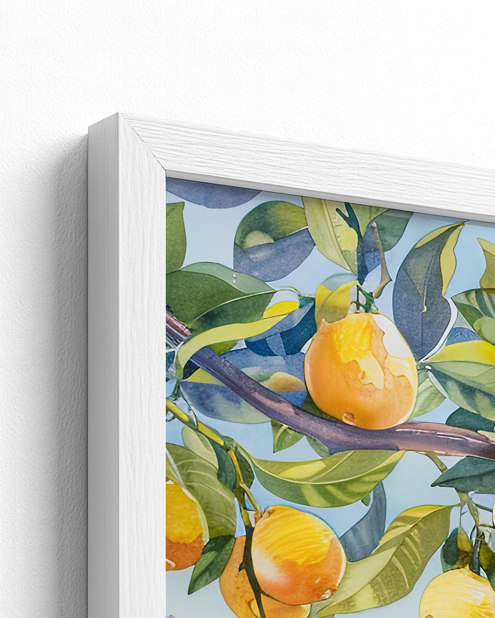 white frame