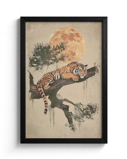 Harmony of Stripes and Serenity