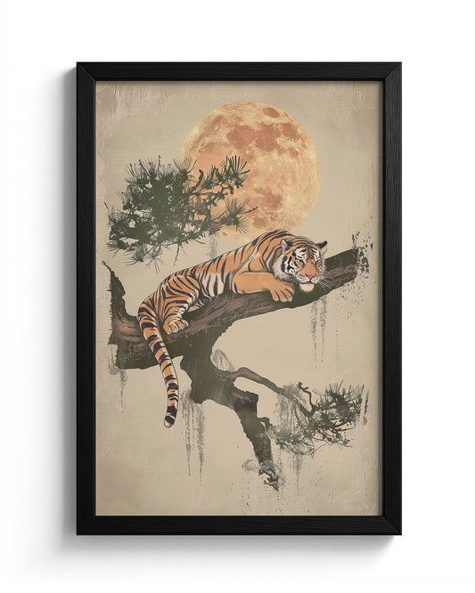 Harmony of Stripes and Serenity