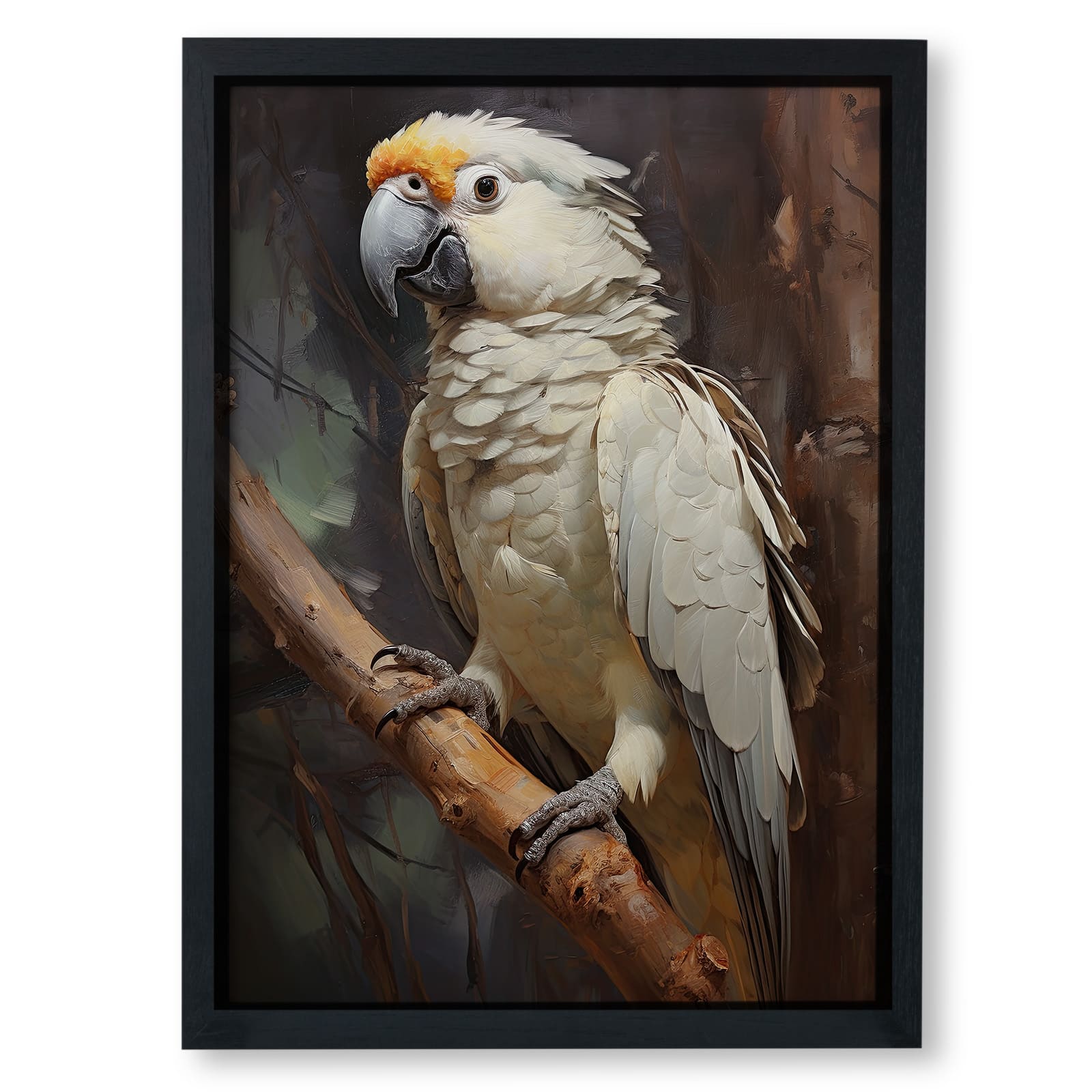 Grey Macaw Dream