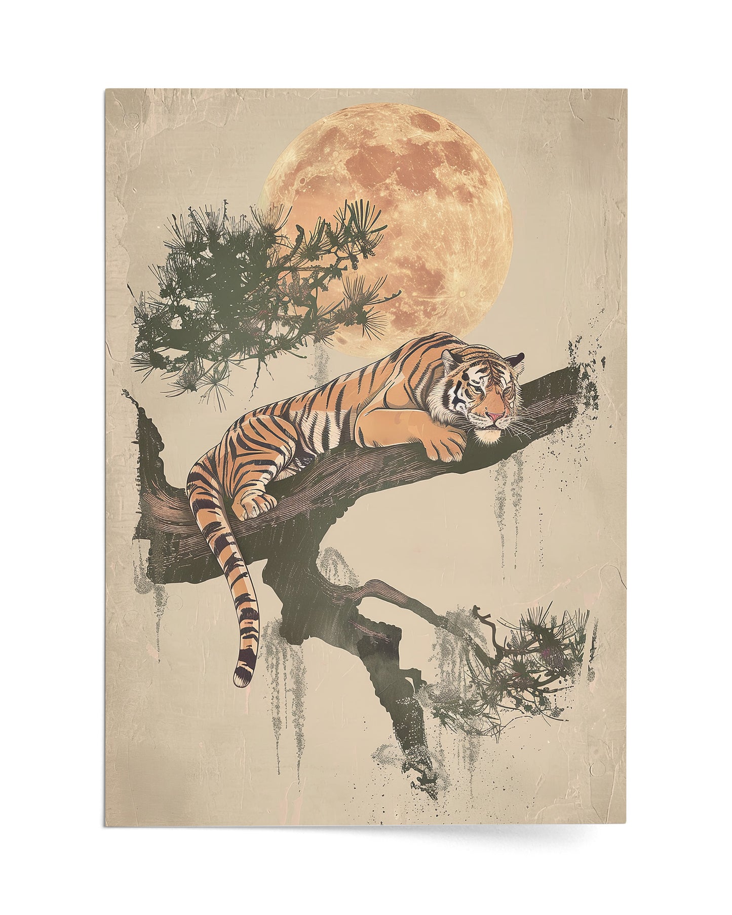 Harmony of Stripes and Serenity