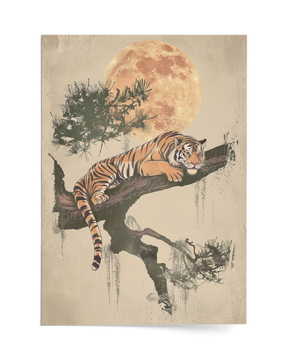 Harmony of Stripes and Serenity
