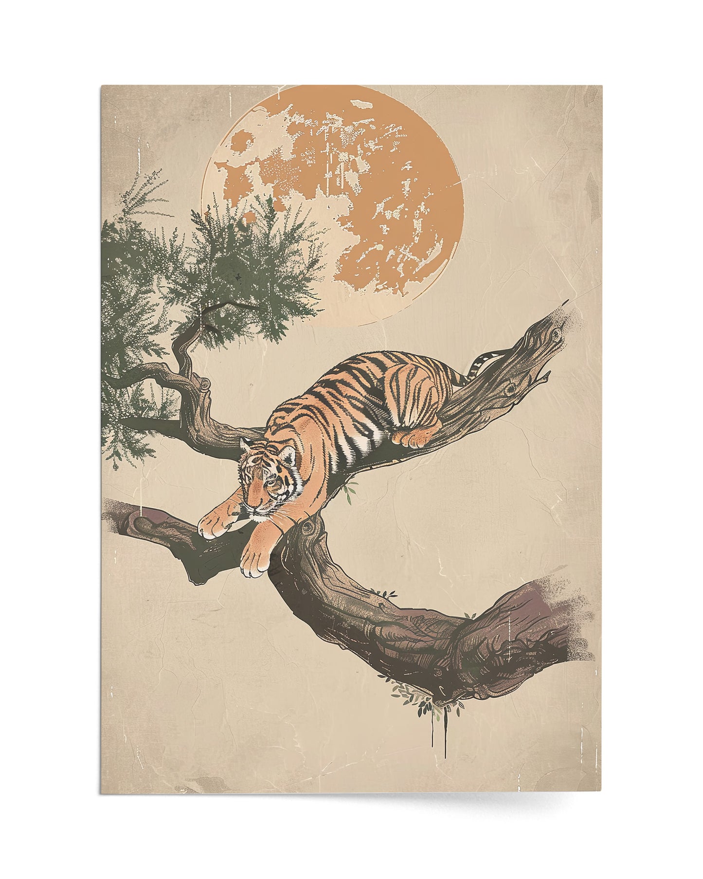 Tranquility of Stripes and Serenity