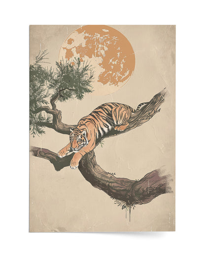 Tranquility of Stripes and Serenity