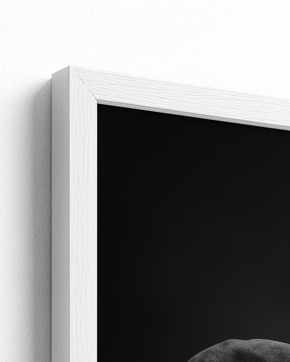 white frame