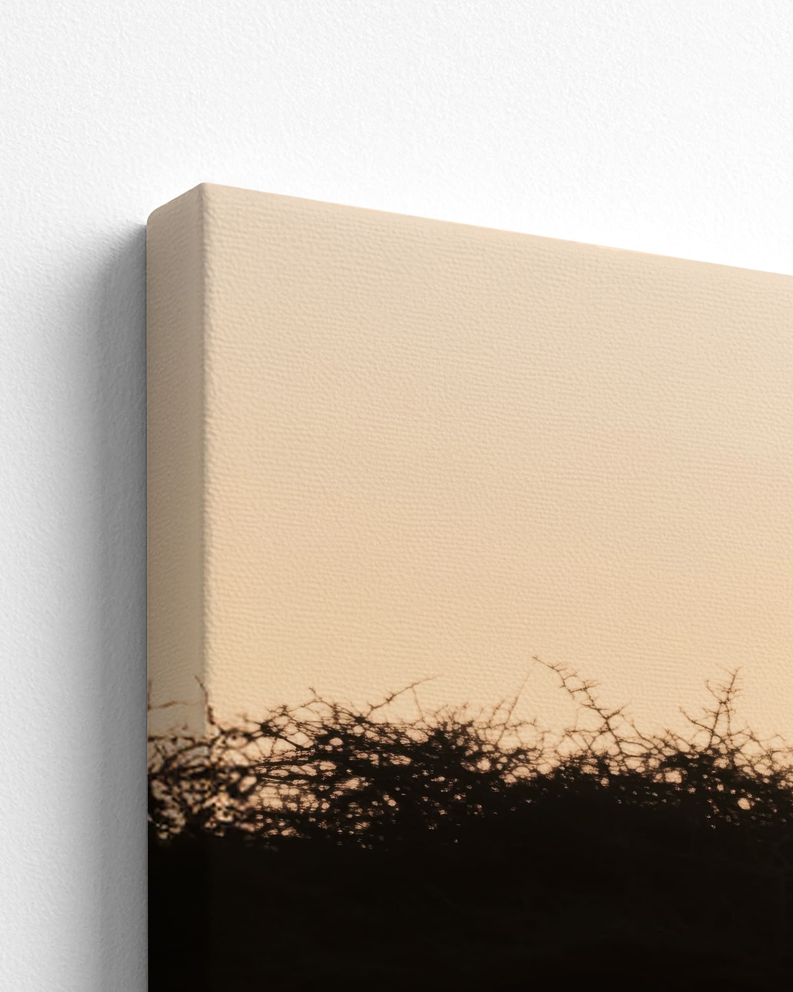 canvas
