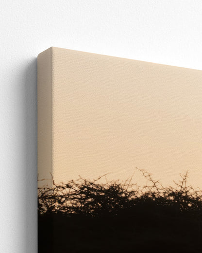 canvas