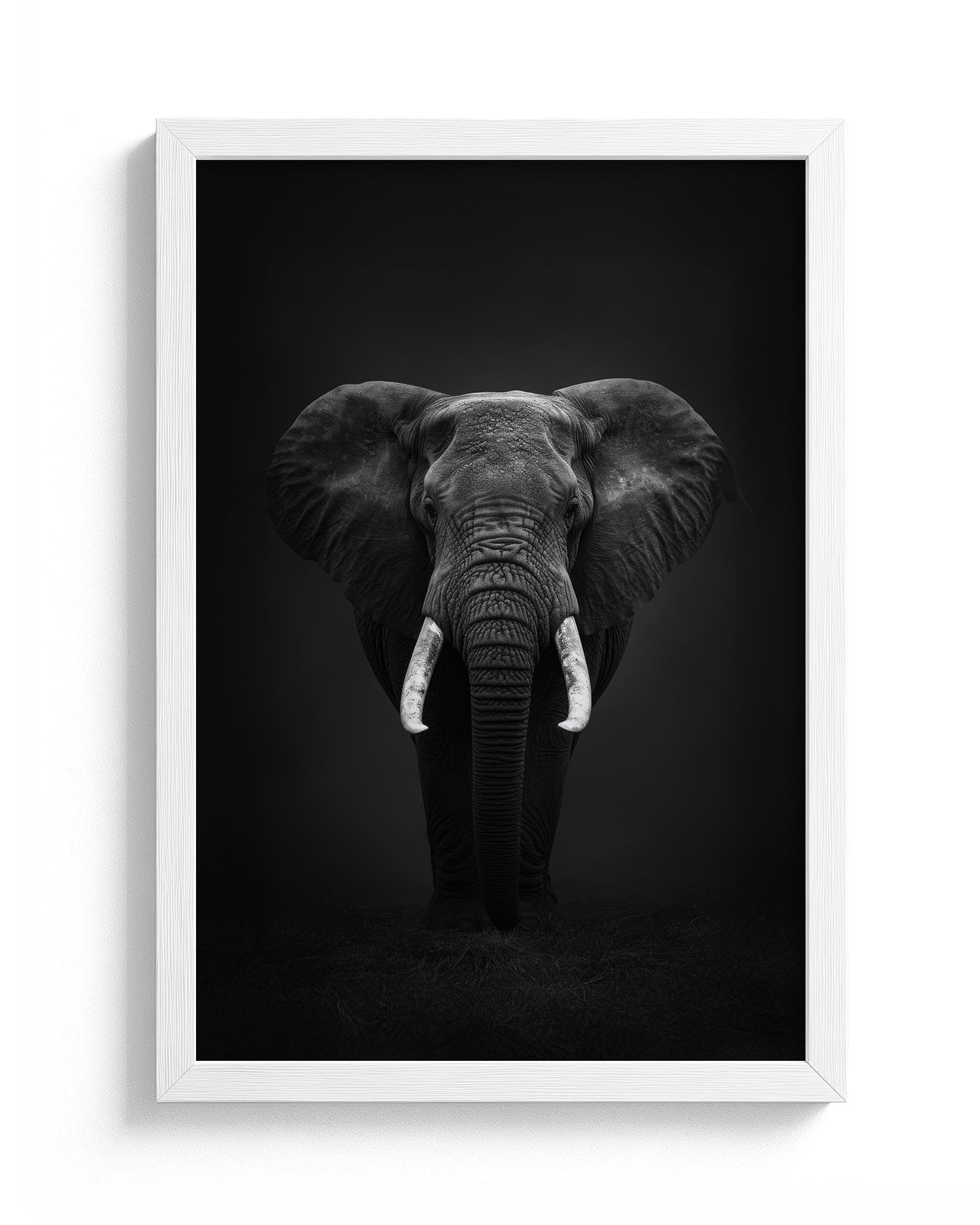 Ivory Monarch in the Night