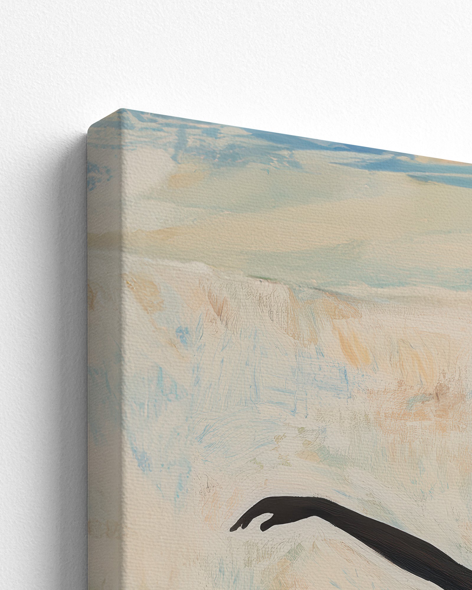 canvas