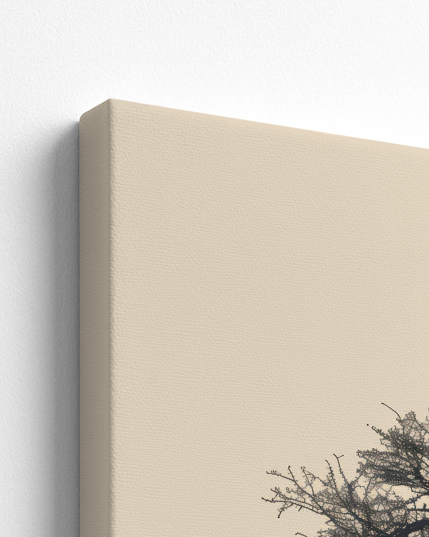 canvas