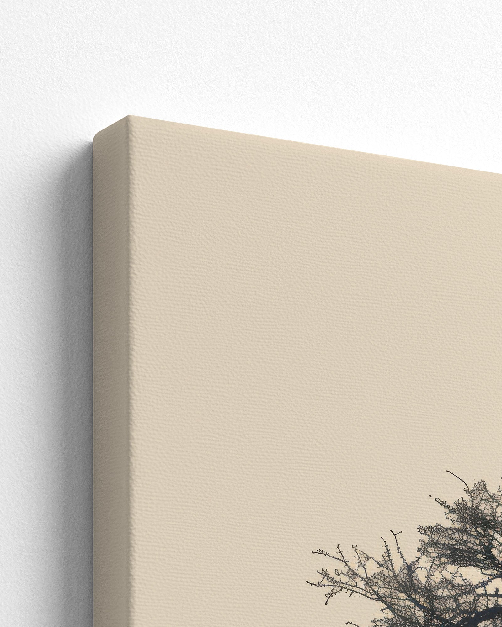 canvas
