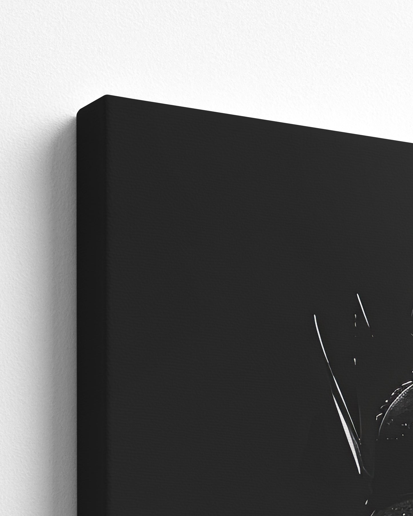 canvas