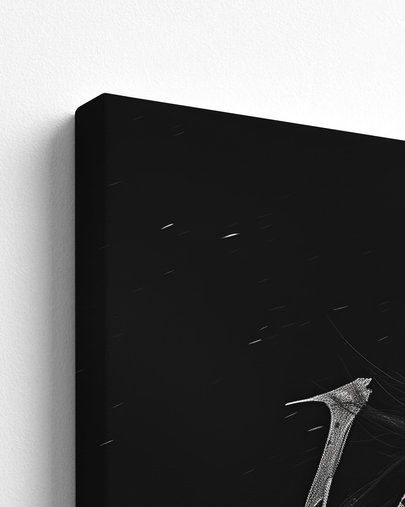 canvas