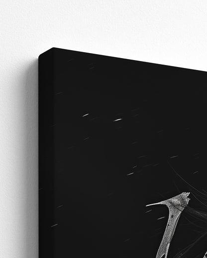 canvas