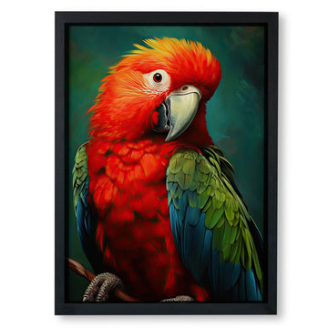 Macaw Marvel