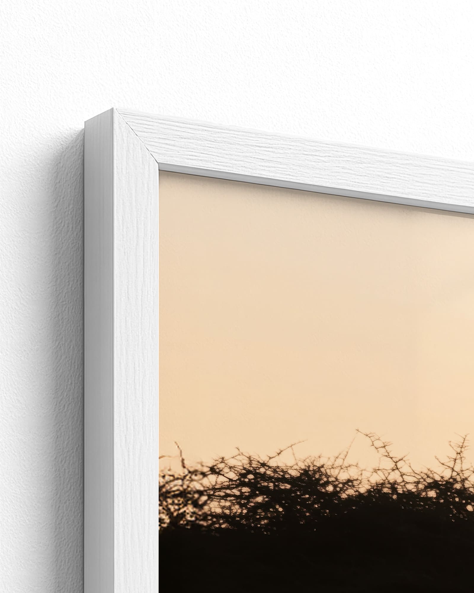 white frame
