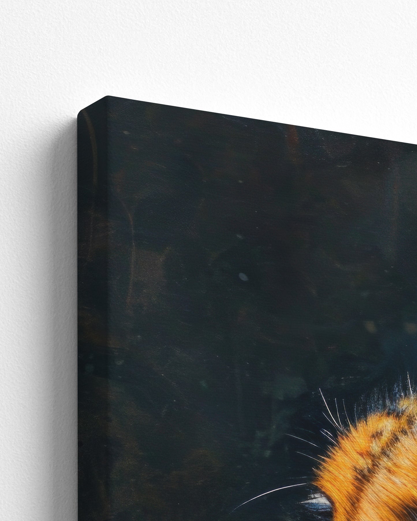 canvas