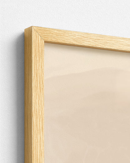 A Stillness She Wears