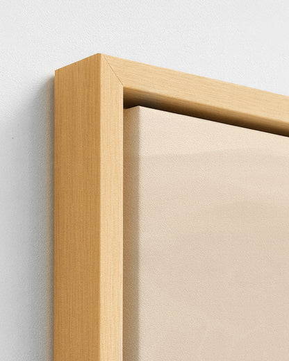 A Stillness She Wears