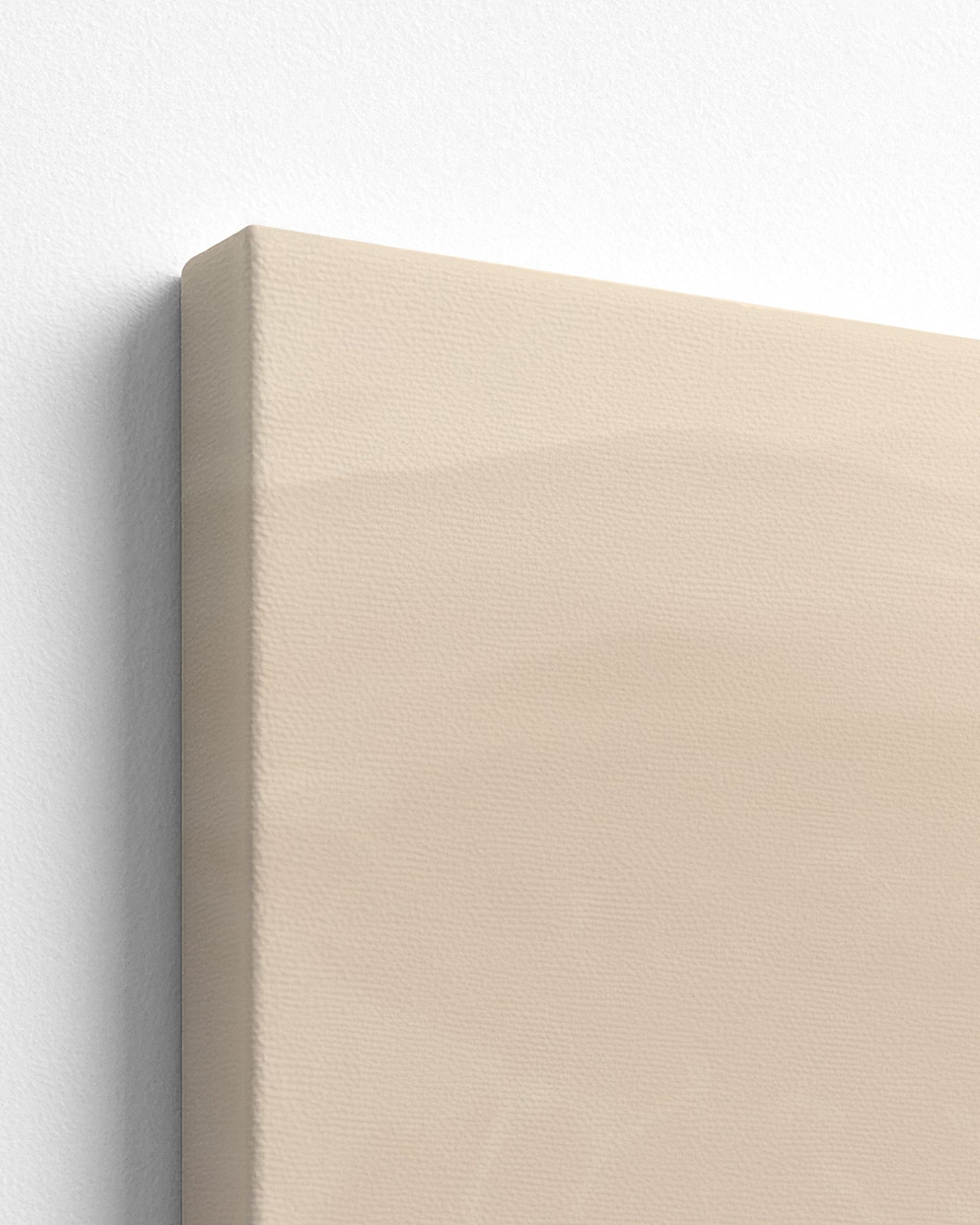 A Stillness She Wears