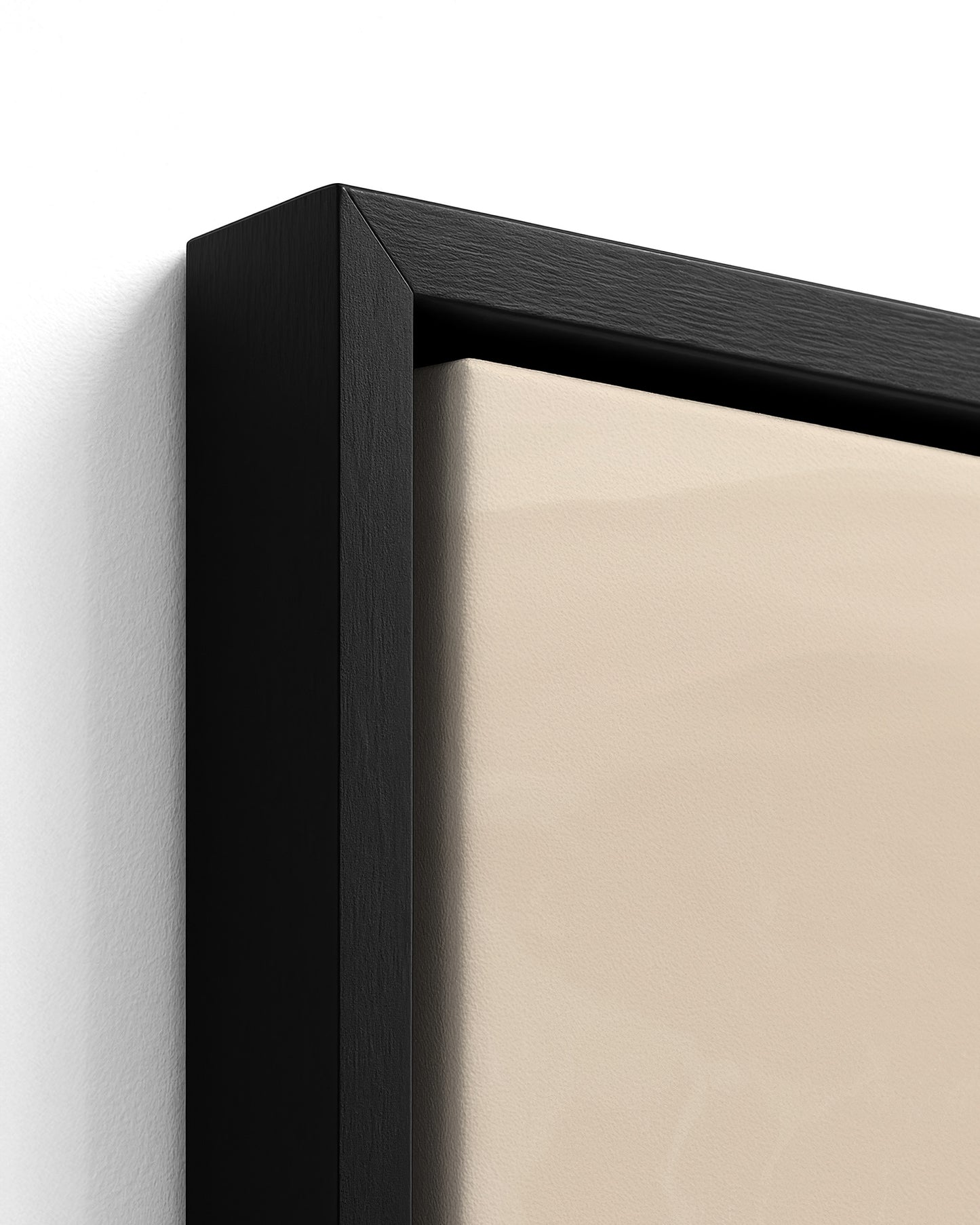 A Stillness She Wears