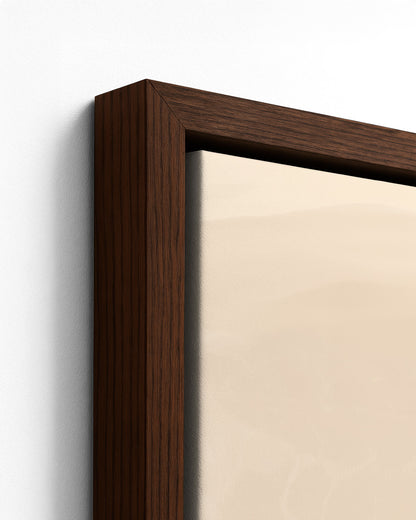 A Stillness She Wears