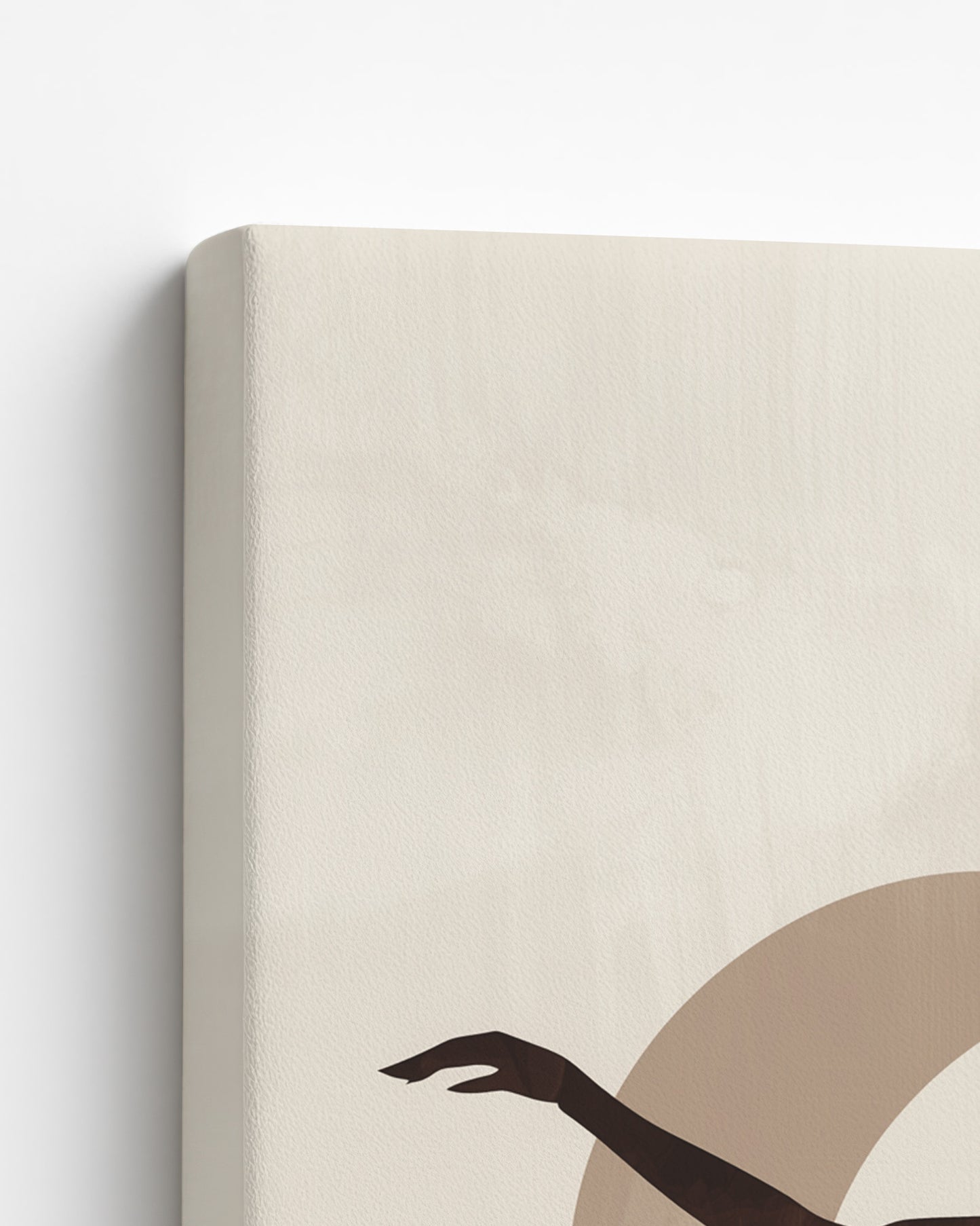 The Spirit Takes Flight