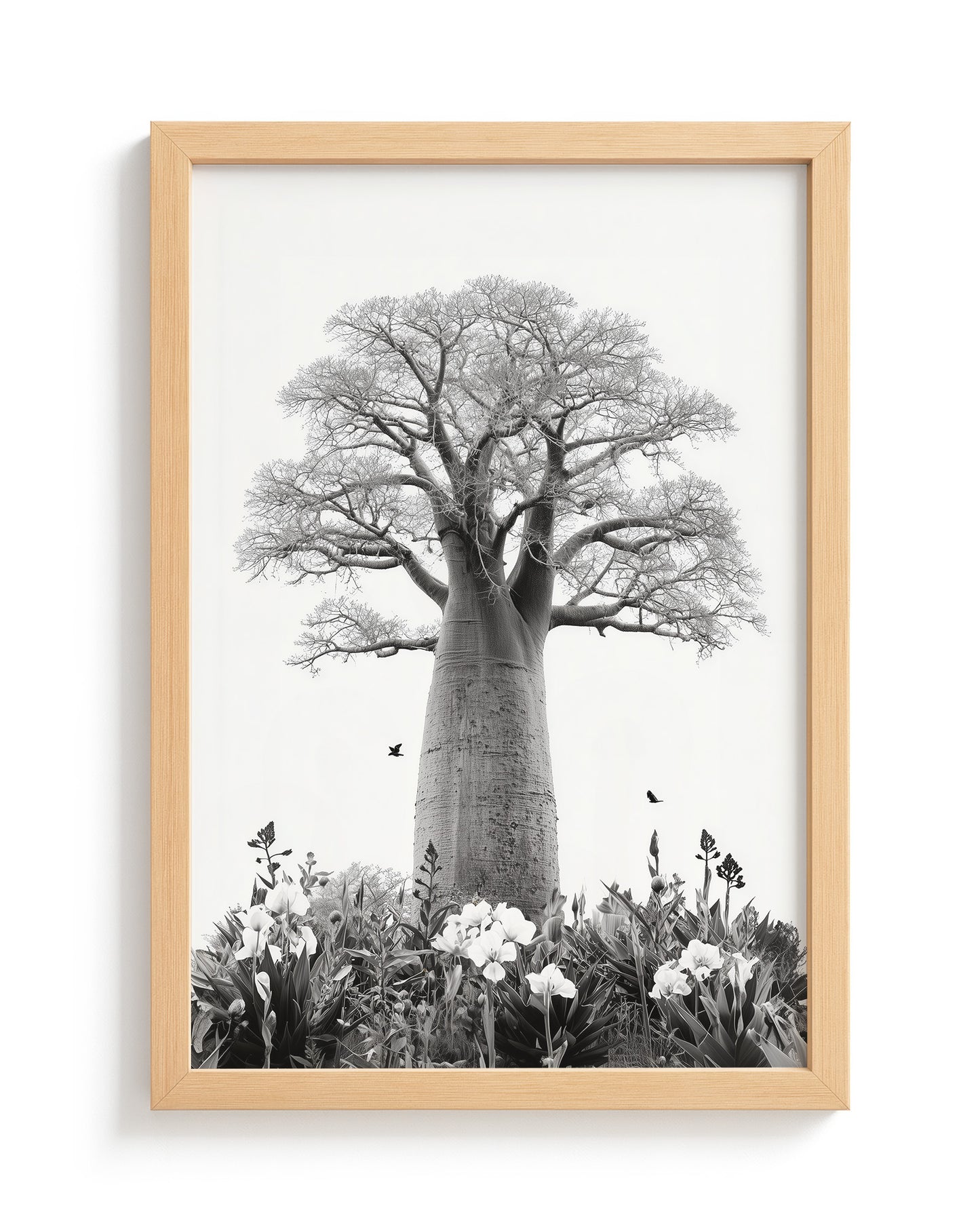 Baobab Bloom