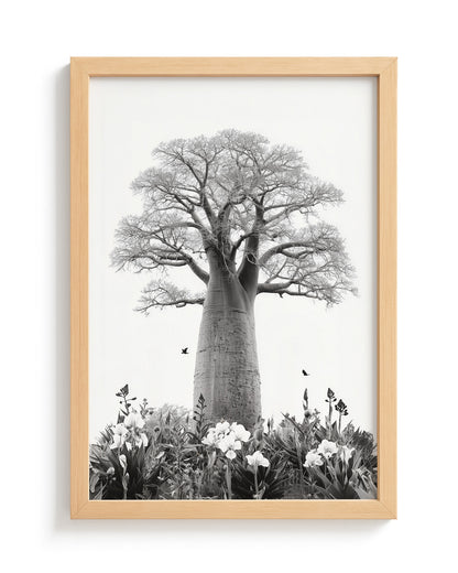 Baobab Bloom