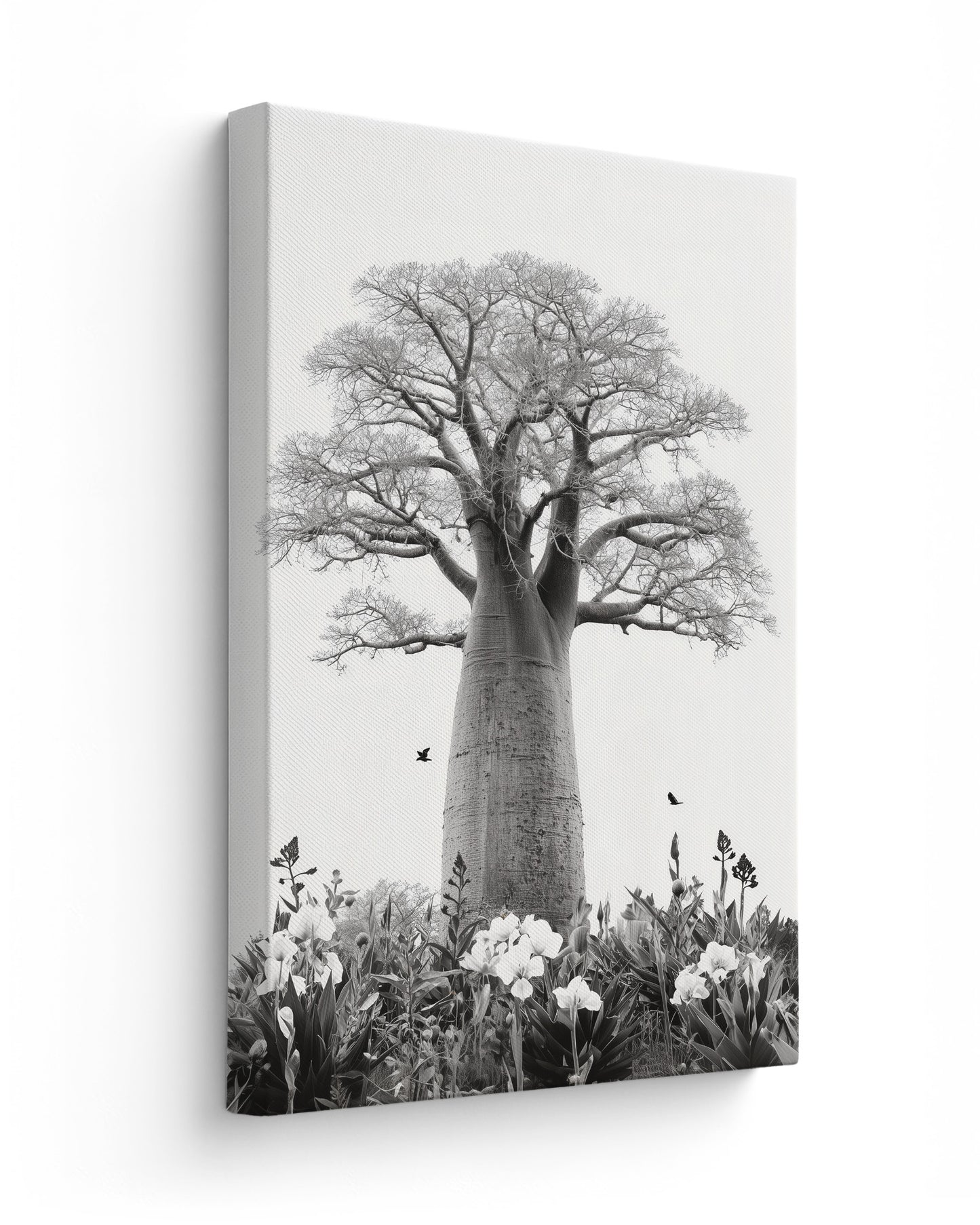 Baobab Bloom