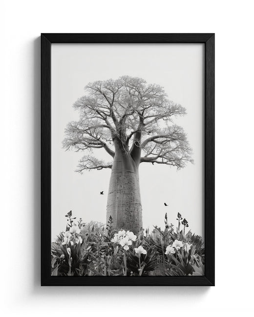 Baobab Bloom