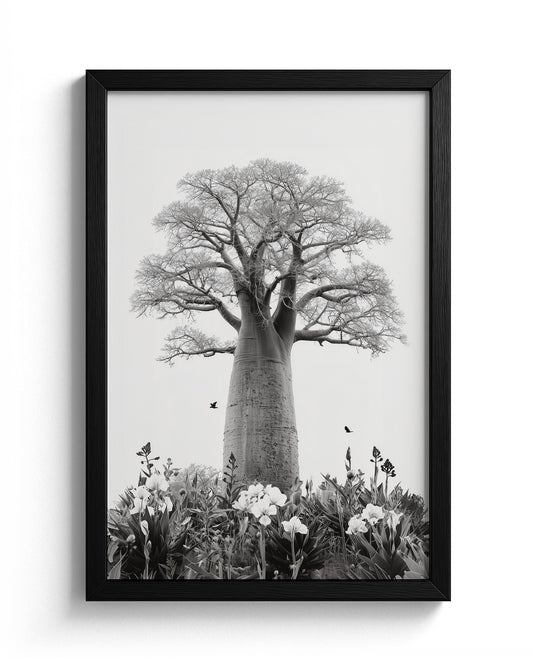 Baobab Bloom