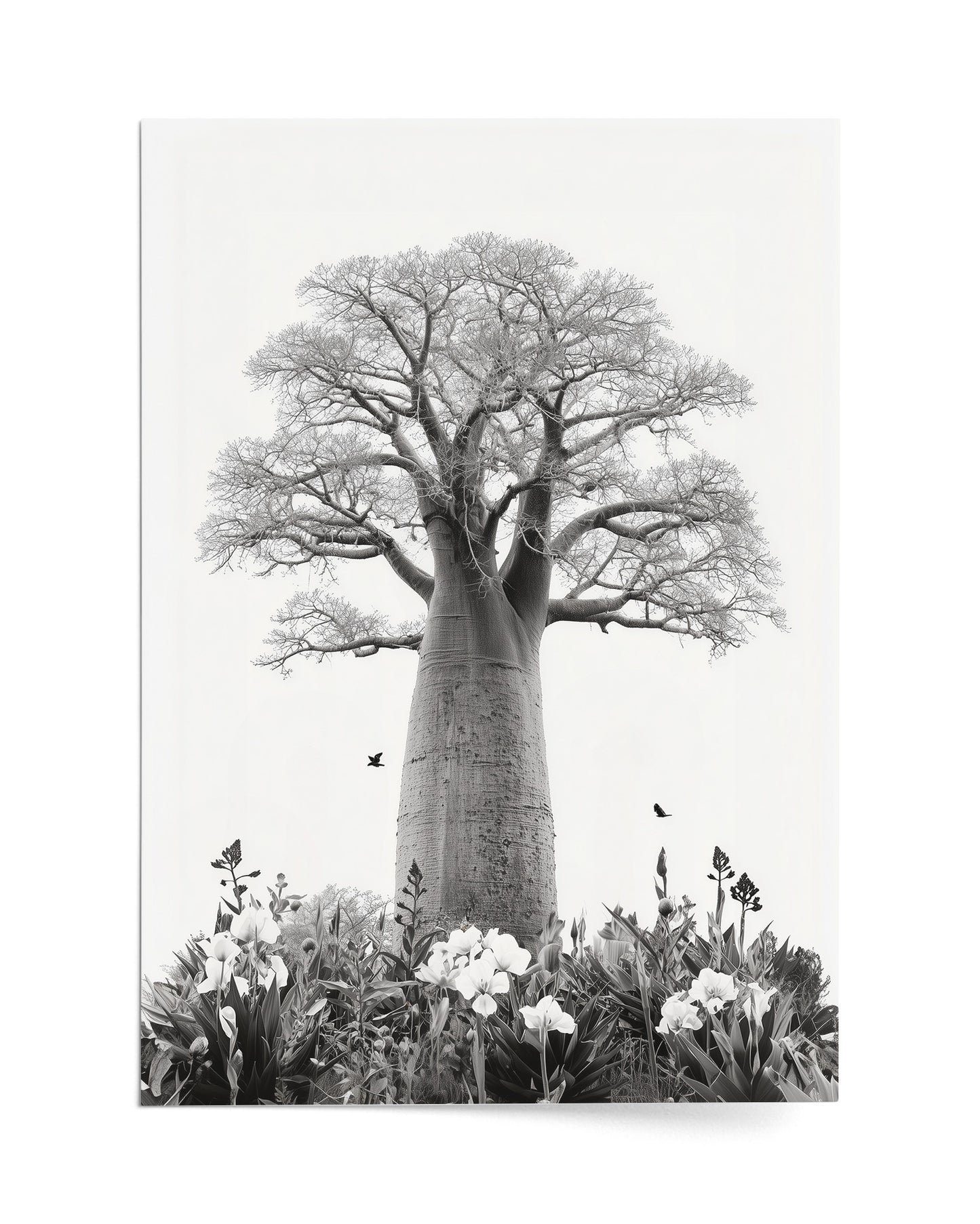 Baobab Bloom
