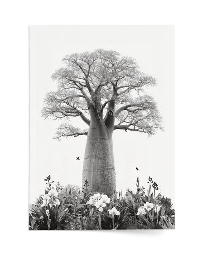 Baobab Bloom