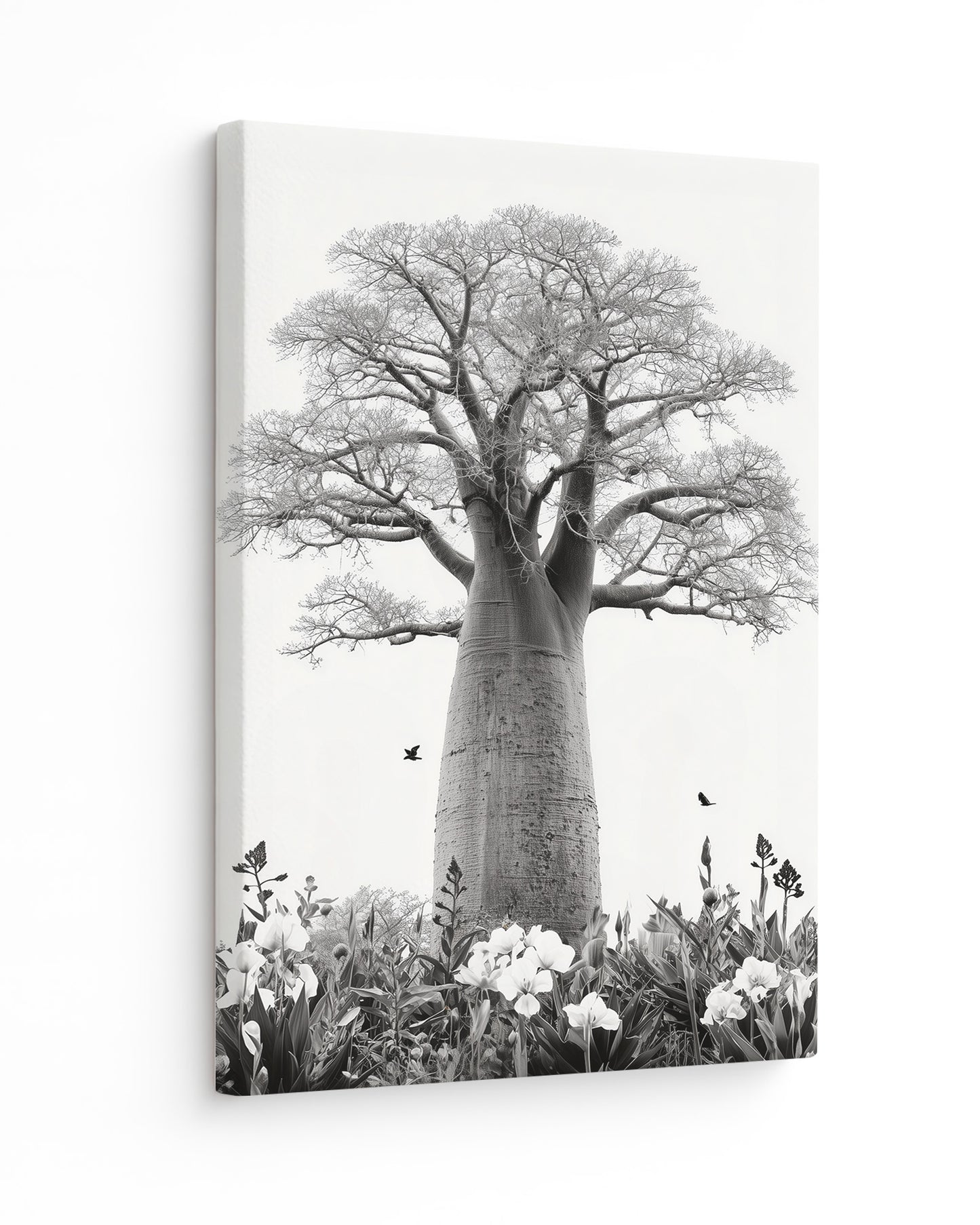 Baobab Bloom