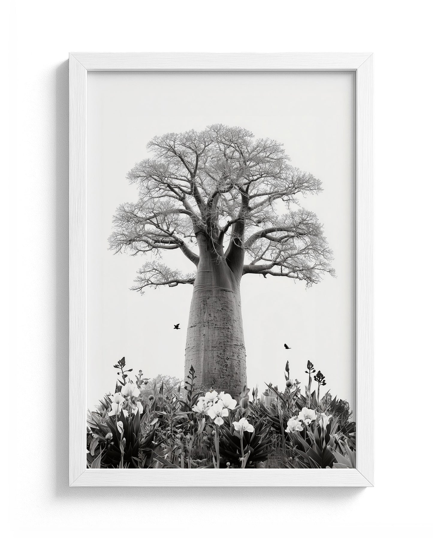 Baobab Bloom