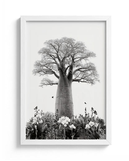Baobab Bloom