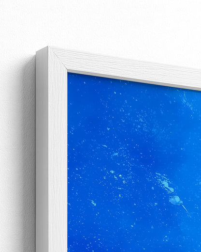 The Children of Congo