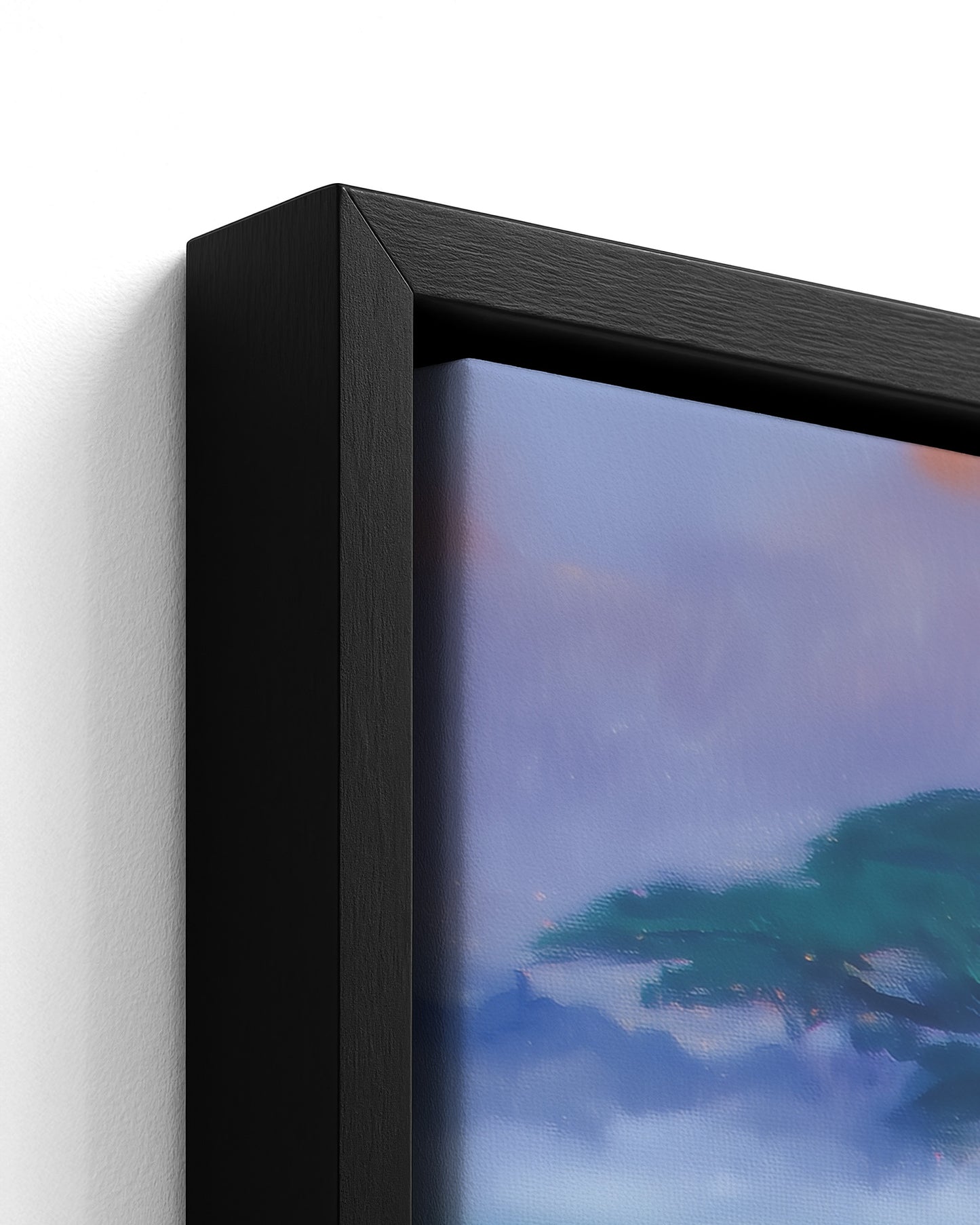 Carried by the Congo