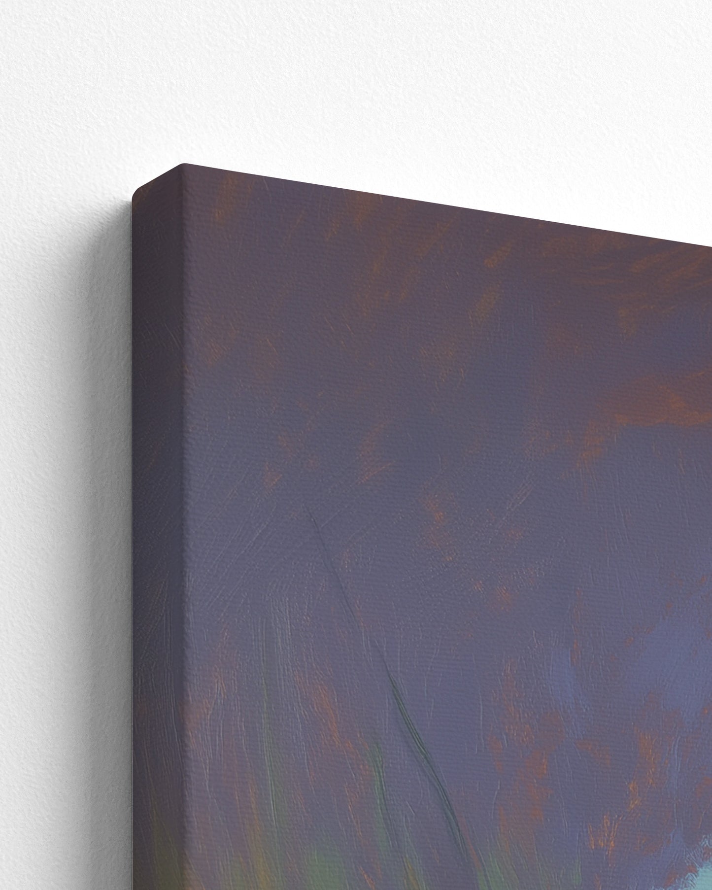 The Likouala Wetlands